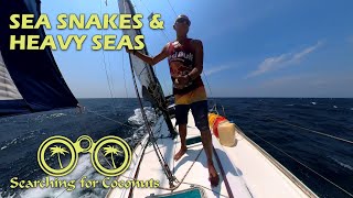 SNORKEL MAGIC - SAILING PHI PHI DON S02E09