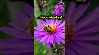 اعتماد به خدا/خدایا شکرت که هوامو  داری/رادیو آگاهی #shorts