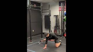 Side Kneeling Trunk Rotation Row