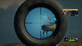 IRISH ELK RACK FABLED GOLDEN GREAT ONE FALLOW DEER! #thehuntercallofthewild #thehunter17 #shorts