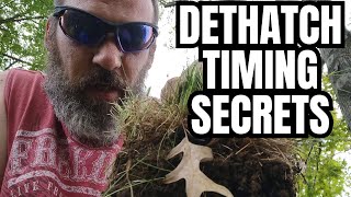 Knowing when to dethatch your yard