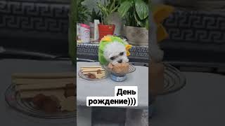 С днём рождения! малыска)))