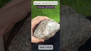 Natural Labradorite Rough Stone 1.434 Kg | WhatsApp: 6261559299 #shorts #youtubeshorts #crystals