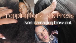 How to Prep hair for a Silk Press| Natural Hair Blow Out