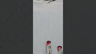 Jumps in trees @brightonutah #shorts #funny #yiutubeshort #youtube #skiing #brighton #snow