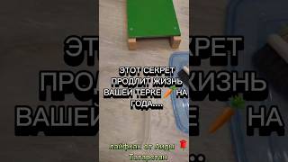 Акция ,,Выгодная рассрочка" @koreiskie_salati_obuchenie_