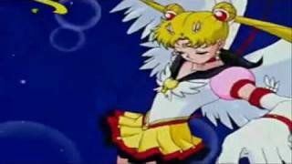 Sailor Moon is a Butterfly Searching for her Samurai