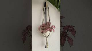 Sabias que así de fácil es hacer un porta macetas de macramé #macrame #macramelove #manualidades