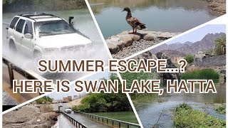 Summer Escape? Here is Swan Lake, Hatta!