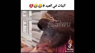 العيد جاء