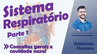 Sistema Respiratório - Aula 01 - Conceitos gerais e cavidade nasal - Anatomia Humana