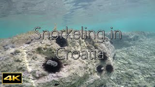 Snorkeling in Croatia