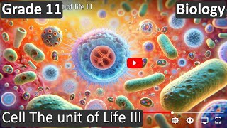 Grade 11 | Biology | Cell The unit of Life III | Free Tutorial | CBSE | ICSE | State Board