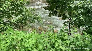 Helende Rivier-Natuurgeluiden-Genezende Muziek-Geluiden van Wind-Geluiden van Water-Natuur Rivier