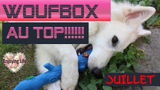 WOUFBOX AU TOP!!! - JUILLET 2016 ✿ Enjoying Life