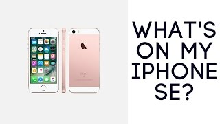 WHAT'S ON MY IPHONE SE? I LITTLE LIFE GURU