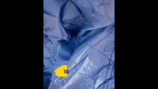 Seal Skin Covers - Car Cover Review