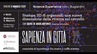 Stampa 3D di organoidi: una nuova dimensione della ricerca sul cervello