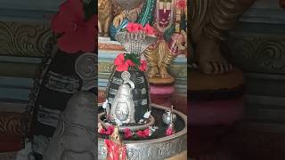 Maranani saitham addukunedi oka shivudu okade || om namah shivay || Karthika masa || day 6