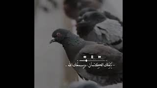 الله عليم بكل شي إذا لما الحزن🙂❤️