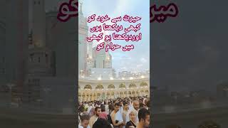 حیرت سے خود کو کبھی دیکھتا ہوں Herat SE khud KO Kabhi dekhta  #bestvideo #islam #kaba ho