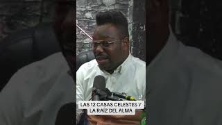 LAS 12 CASAS CELESTES Y LA RAIZ DEL ALMA