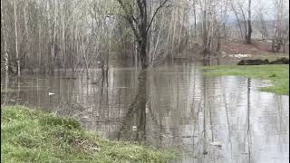 В ВКО поднялся уровень воды в реке Бухтарма