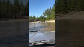 Annoying ducks in a Land Cruiser deep water crossing