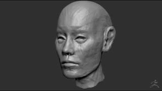 zbrush quick headSculpt