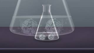 TO SHOW THAT HYDROGEN GAS EVOLVED BY THE ACTION OF ACIDS ON SOME METALS