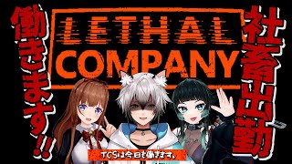 【LETHAL COMPANY】汗水たらして働きます！！【#TCS】