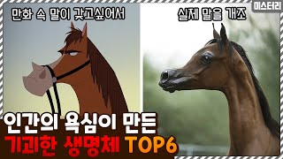 동물을 개조한다고..? 인간의 욕심이 만들어낸 기괴한 생명체 TOP6