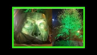 Develan escultura “árbol adentro” en guadalajara