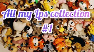 All my LPS collection #1 /Вся моя коллекция LPS #1