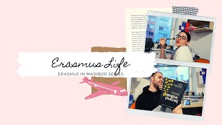 OUR ERASMUS LIFE // ERASMUS IN MARIBOR SERIES