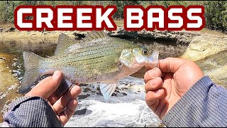 CREEK FISHING White Bass and Crappie from the J16 Carolina Skiff / Bank