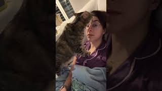 My cat loves licking my face