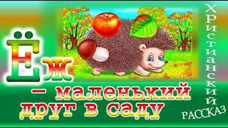 📗 "Ёж - маленький друг в саду" ~ СЛАЙДЫ РАССКАЗ Христианский для ДЕТЕЙ 👧☀️ Деткам интересно