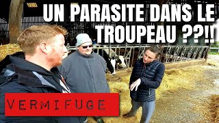 UN PARASITE DANS LE TROUPEAU ??!! 😱