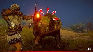 Kill Legendary Animal: Erymanthin Boar | Assassin's Creed Odyssey (Daughters of Artemis Questline)