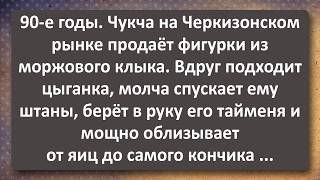 Цыганка 40 лет Взяла у Чукчи Моржового! Сборник Самых Свежих Анекдотов!