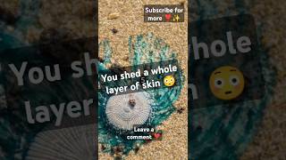 You shed your skin 😳||#shorts||#facts ||