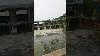 kaliyasot dam bhopal