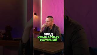 ВРЕД КОМНАТНЫХ РАСТЕНИЙ #растения #здоровье #алексейкапустин