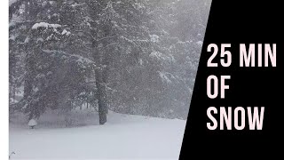 25 minutes of Canadian snowfall