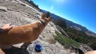 Amazing Places to Brush Your Dog #16: Donner Peak