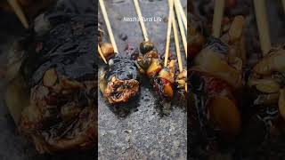 Poor 2 years boy grill snails for food on the hot stone  #grilled #food #cooking