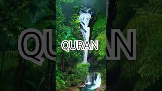 Surah Anam Ayat No 146-147 urdu translation #shortvideo#reels #islamic#ytshort