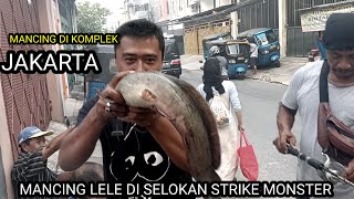 MANCING LELE DI ‼️SELOKAN STRIKE MONSTER DI KOMPLEK JAKARTA BARAT JADI TONTONAN WARGA