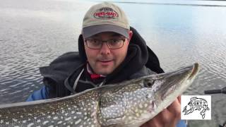 Crank selection for fall northern pike